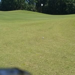 Meet your Posher, Darrell